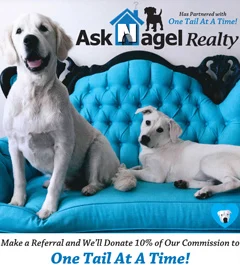 Ask Nagel Supports One Tail At A Time