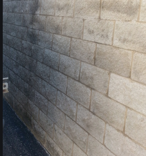 split face block wall showing moisture and mold