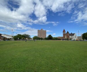 green field of Eckhart Park